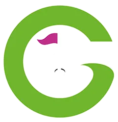 Theories-Golf-G Logo
