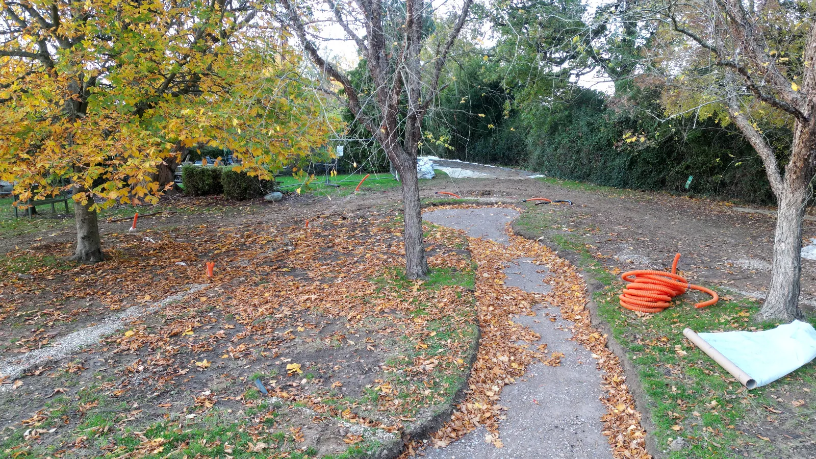 A path in the middle of a park with fallen leaves on the ground.