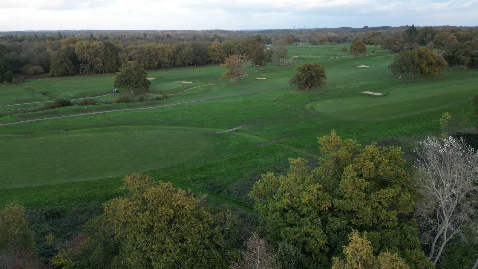 A green golf course surrounded by trees.